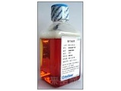 �g��������-5-�����c