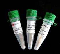 �g��������r(ji��)��