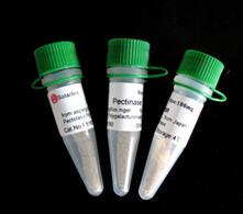 �����c����